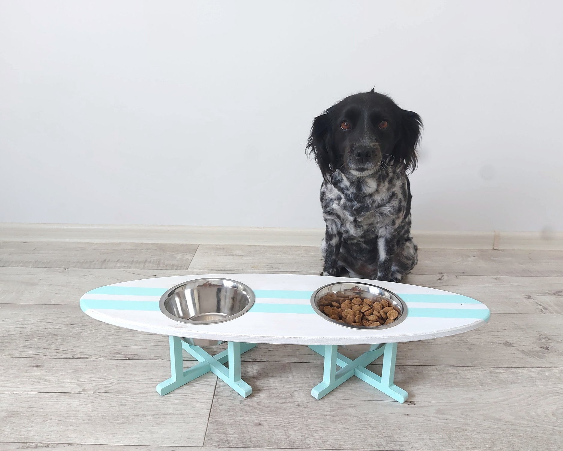 Dog sitting behind a white and blue surfboard pet dining table with two bowls on a wooden floor.